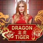 Overview of Dragon Tiger